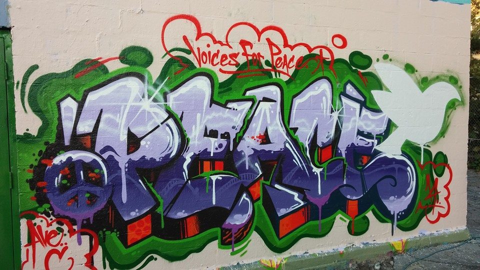 1937484_10152236513501082_6892437397794178441_n